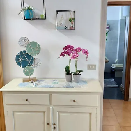 Pavoncelle Holidays Альгеро